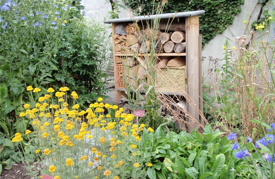 Das geeignete Winterquartier! Das geeignete Winterquartier!