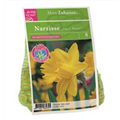 DBIA-Zwiebeltuetchen-Narzisse-Dutch-Master-8.jpg